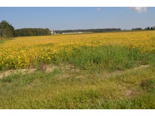 Property photo 44 - REAL ESTATE AUCTION - 604+/- ACRES IN 14 TRACTS IN MERCER CO., OHIO